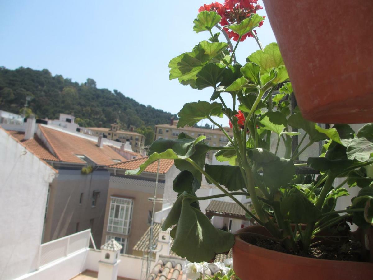 Junto A La Casa Natal De Picasso Apartman Málaga Kültér fotó